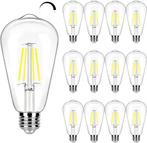 12 Pack Dimmable LED Edison Bulb 40W Equivalent, 5000K Daylight 4W LED Bulbs, E26 Base Vintage Light Bulb, Decorative Antique Filament Light Bulbs for Ceiling Fan