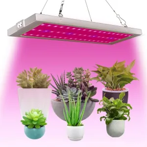 300W 54 LED Grow Lights, Full Spectrum Little Solid Grow Lamp with IR & UV LED Plant Lights for Indoor (Space-Saving) Plants,Micro Greens,Clones,Succulents,Seedlings