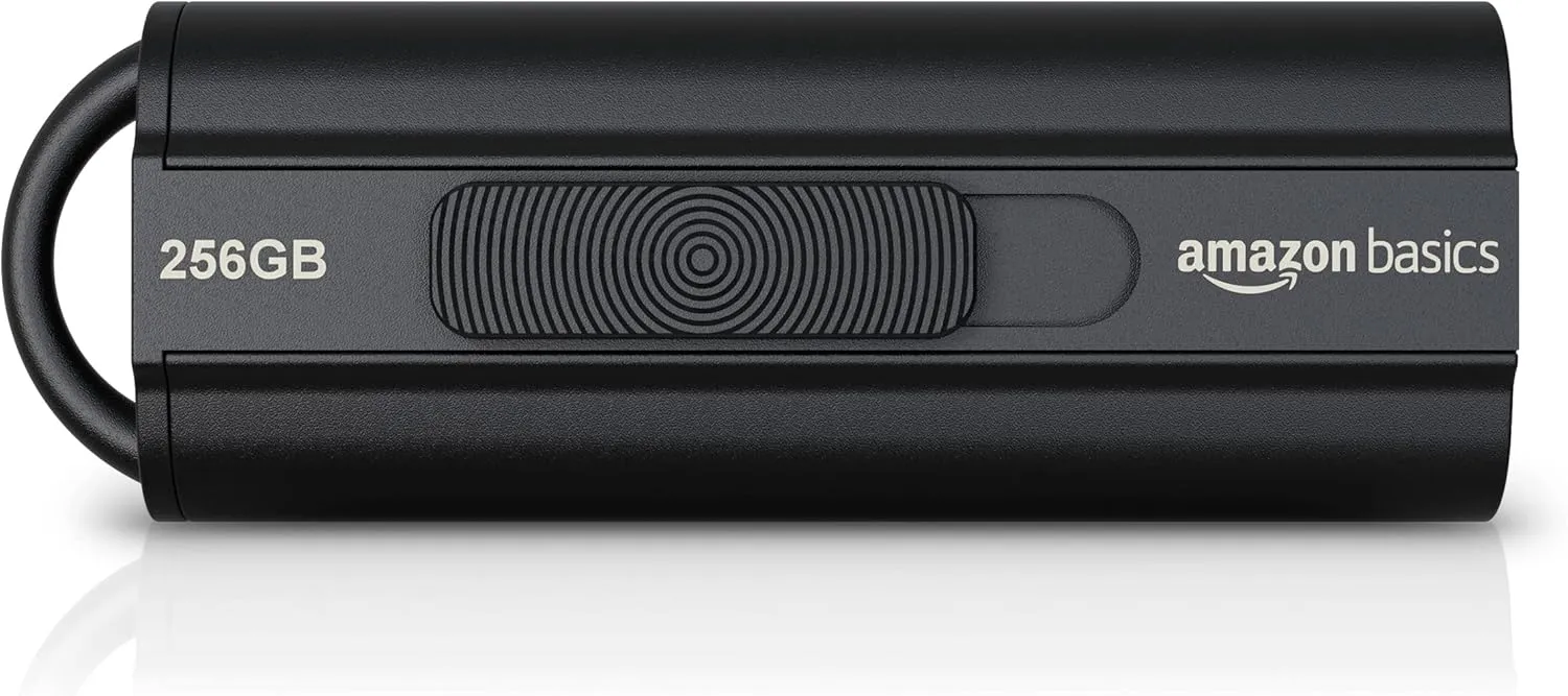 Amazon Basics 256 GB Ultra Fast USB 3.1 High Capacity Flash Drive for Data Transfer and Storage, Black