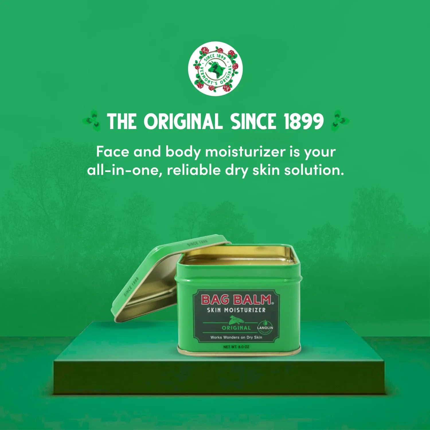 Bag Balm Vermont's Original for Cracked Hands, Dry Skin - Moisturizing Lotion Salve 8 Ounce - 2 Pack