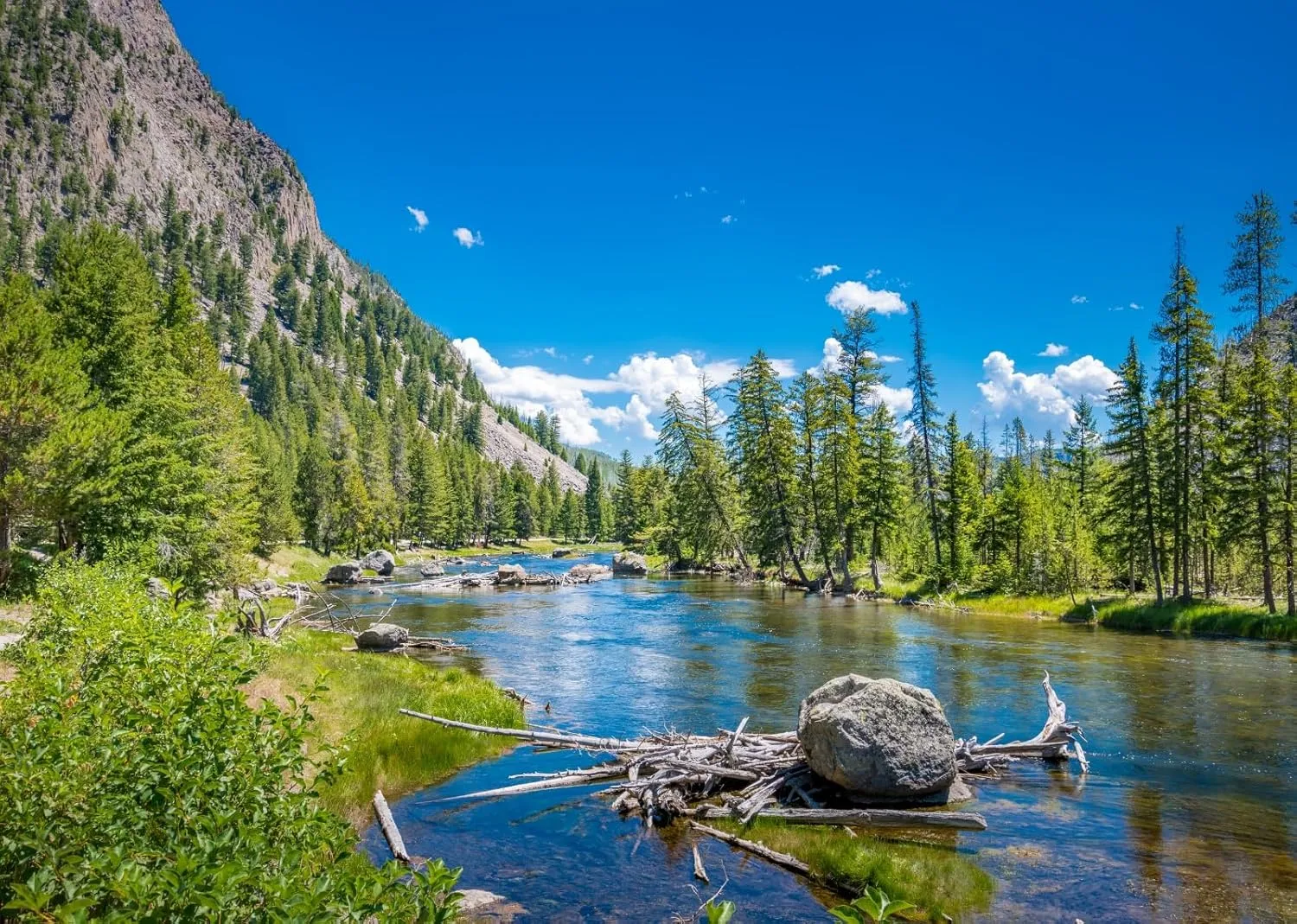 BELECO 8x6ft Fabric Mountain Lake Backdrop Yellowstone National Park Mountain Forest Trees Nature River Stones Background Camping Hiking Decor Kid Adult Artistic Portrait Photo Studio Props