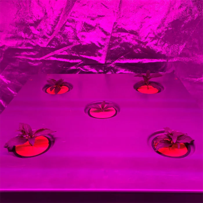 Bifarm AeroXPS Pro 4' x 4' LED Grow Tent Kit With Automated Aeroponics & Ventilation System