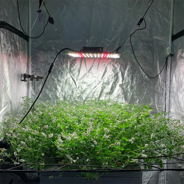 Bifarm AeroXPS Pro 4' x 4' LED Grow Tent Kit With Automated Aeroponics & Ventilation System