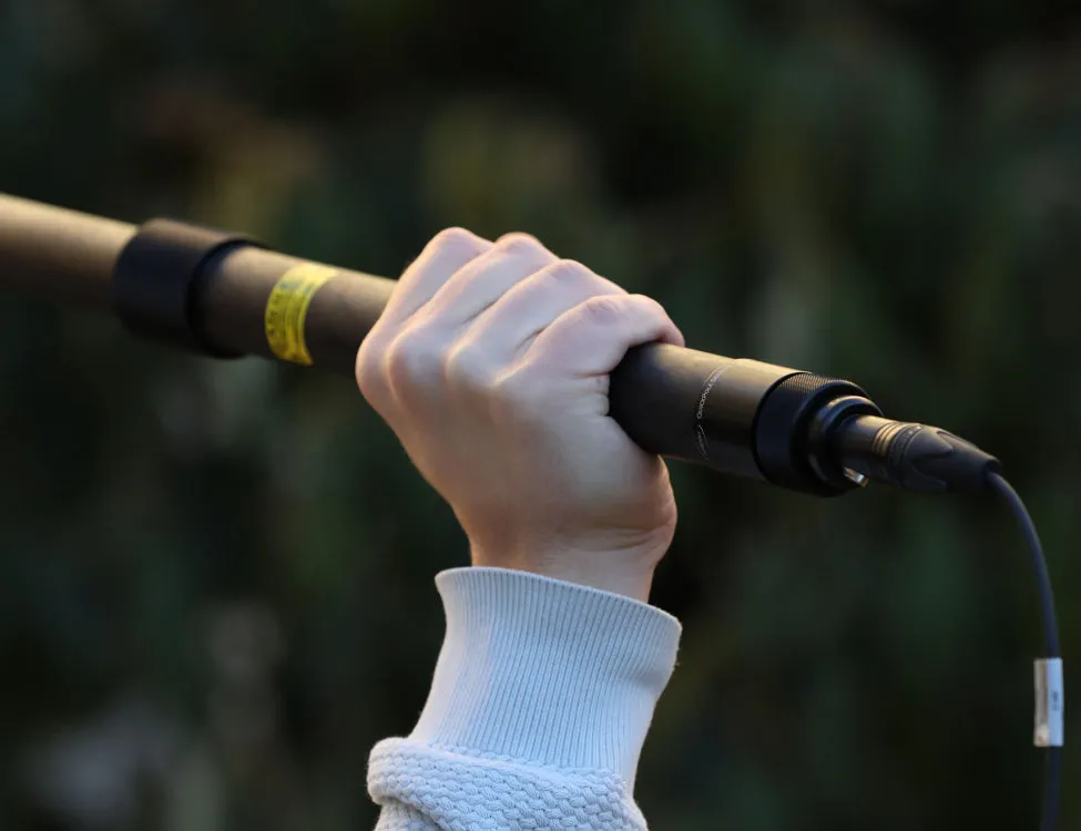 boom QP550 Outstanding with pole Clearance sale AMBIENT internal cable