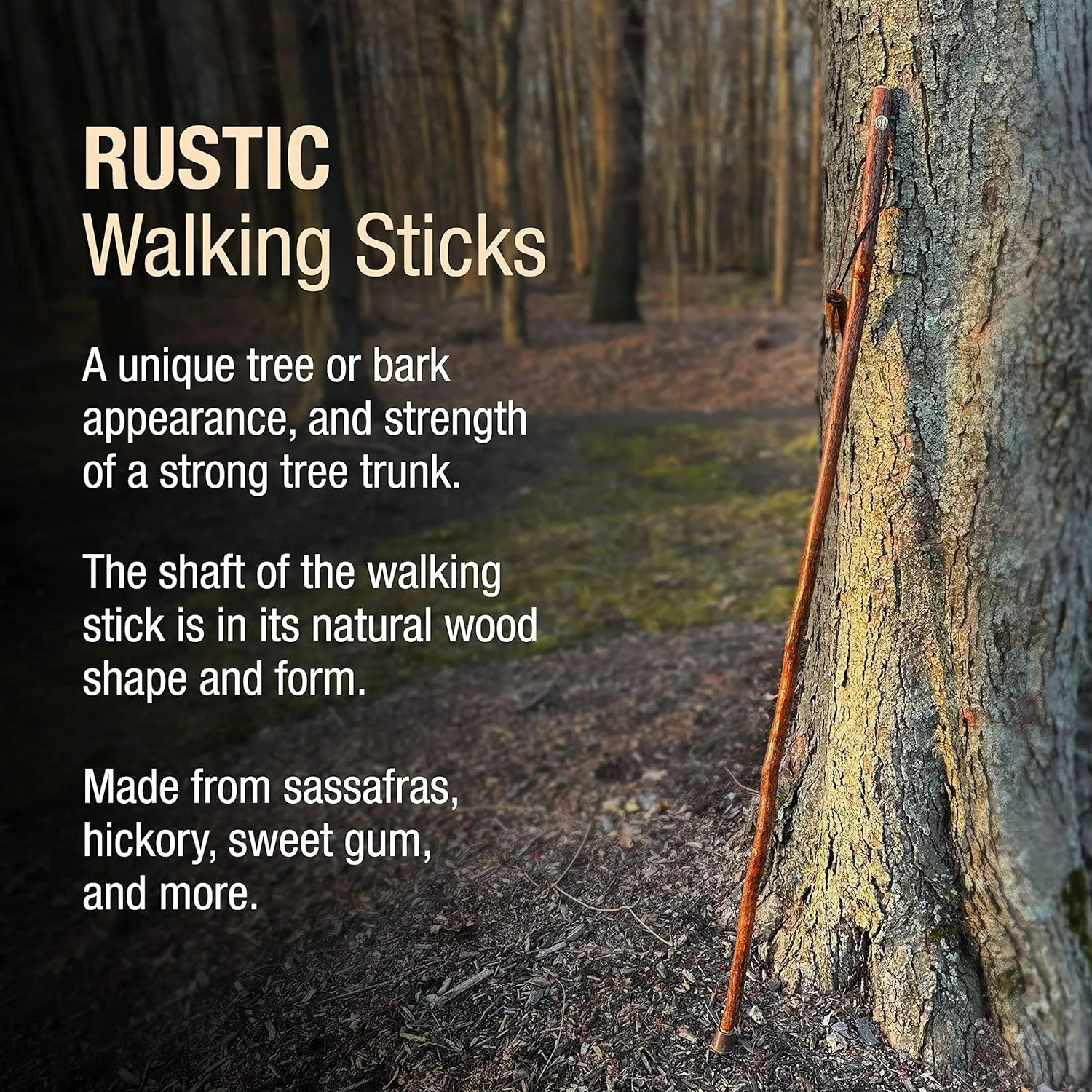Brazos Rustic Wood Walking Stick, Sassafras, Traditional Style Handle, for Men & Women, Made in the USA, 55"