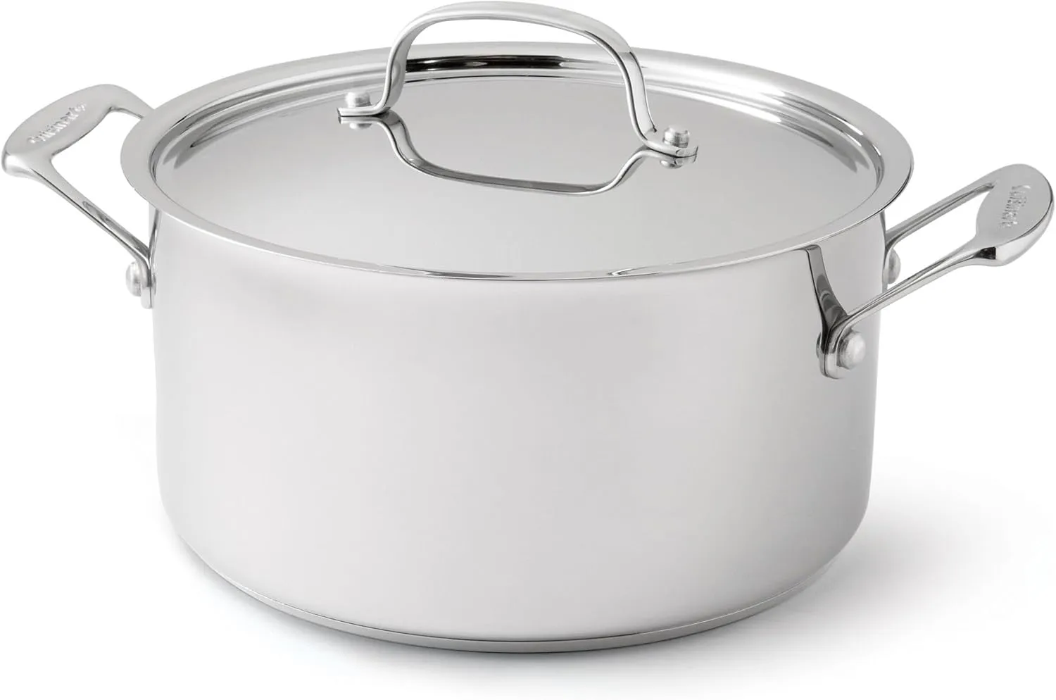 Chef's Classic Stainless Steel Stock Pot with Lid Size: 6-qt.