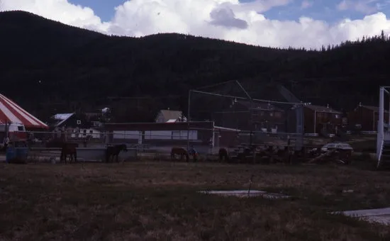 Circus in Minto Park, July, 1982.