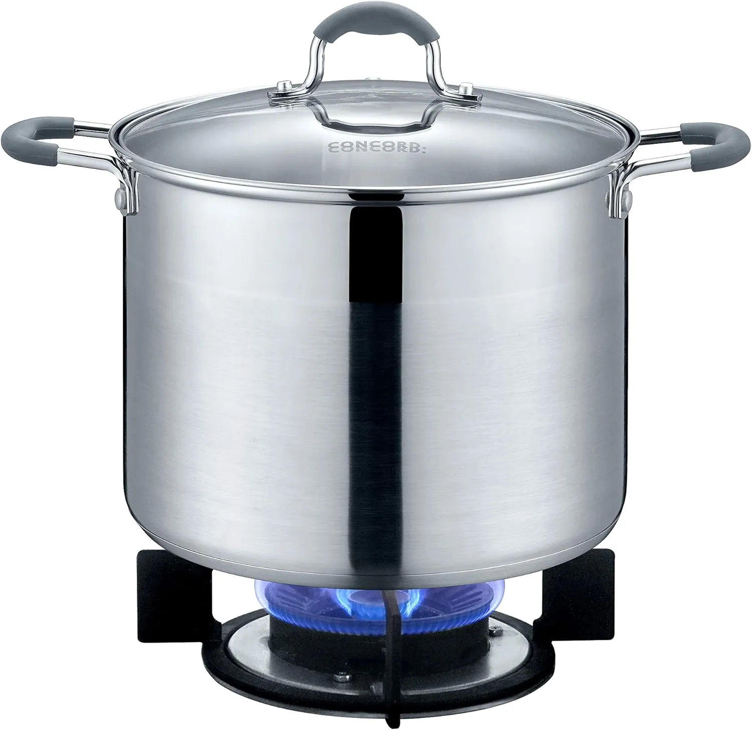 CONCORD Stainless Steel Stock Pot with Glass Lid (Induction Compatible) ((10 QT)