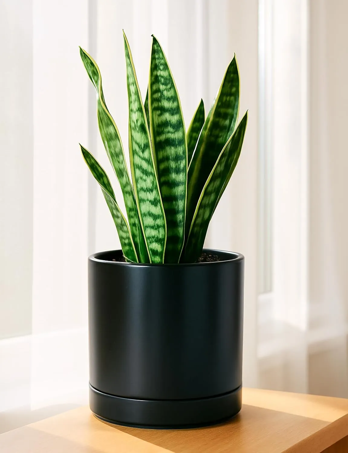 D'vine Dev 6 Inch & 8 Inch Ceramic Planter Pots for Plants with Drainage Hole and Saucer, Medium Plant Pots Set, Black, 94-G-M-2