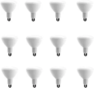 EcoSmart 75-Watt Equivalent (Uses 12.5W) BR40 Dimmable LED Bulb 2700K Soft White (Pack of 12)