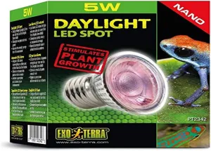 Exo Terra Daylight LED Spot Nano, Reptile Terrarium Light Bulb