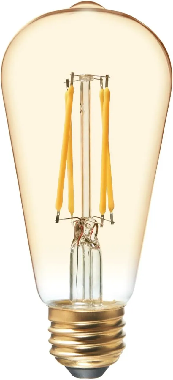 GE General Electric Vinta Small 60W Amber ST19 (2-Pack)