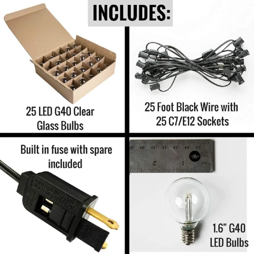 Hometown Evolution, Inc. Outdoor Globe String Lights (25 Foot, LED G40 Clear - Black Wire - 1.6" .6 Watt Bulbs)