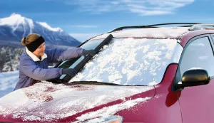 Intro-Tech Automotive PR-14-S Custom Fit Windshield Winter, Snow, Ice and Frost Shade for Select Porsche 911 (997) Models, Silver