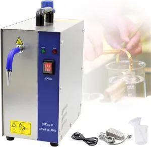 Jewelry Steam Cleaner,Gem Washer,1300W/2600W Professional Jewelry Steam Cleaner Machine with Foot Switch, Goldsmith Equipment for Home Industrial(3L)