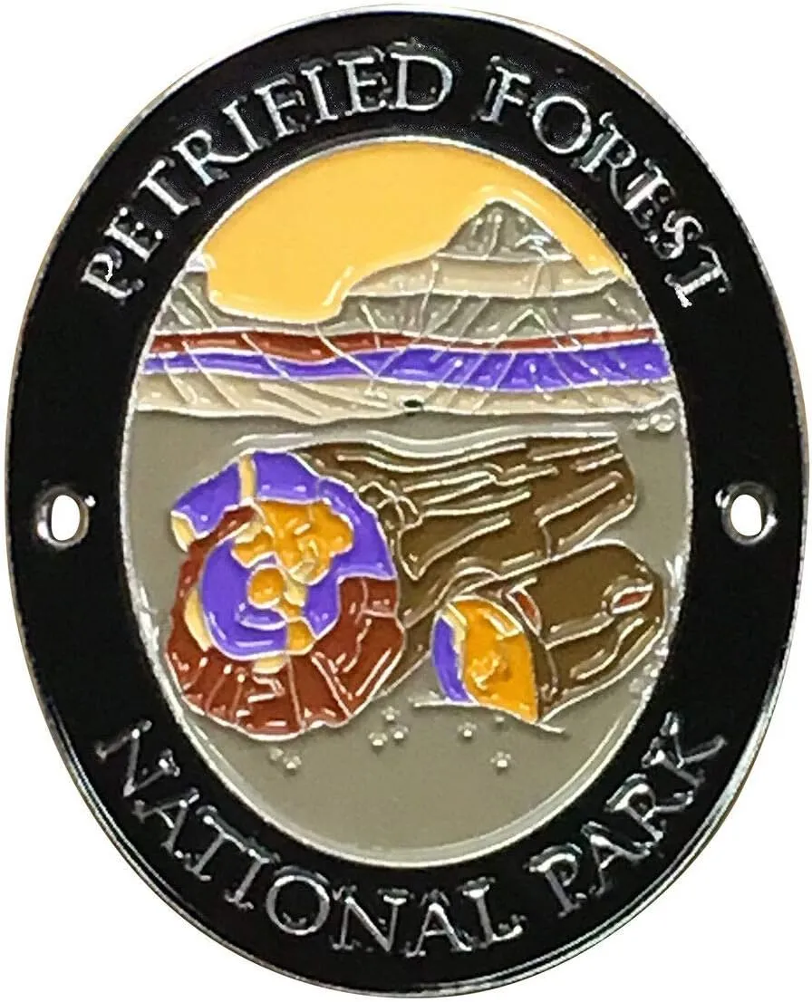 Petrified Forest National Park Walking Hiking Stick Medallion - Arizona