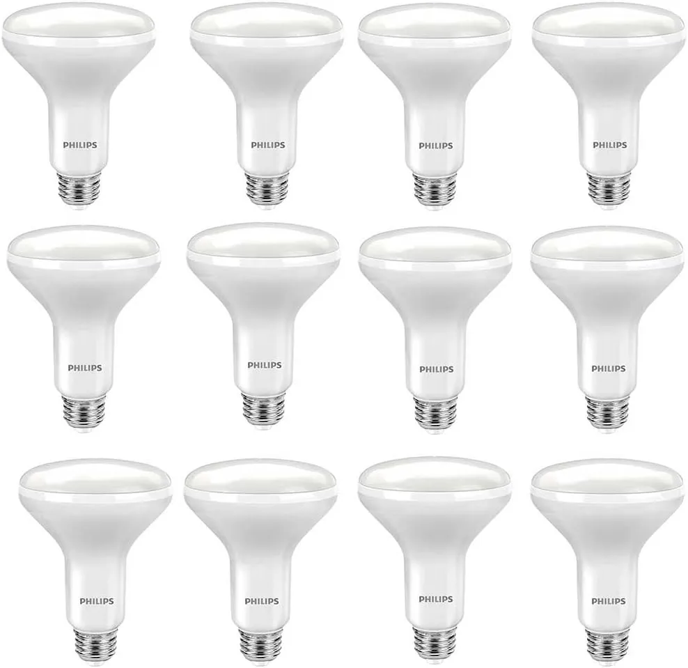 Philips LED Dimmable Light Bulb