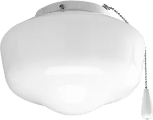 Progress Lighting AirPro Collection One-Light Ceiling Fan Light