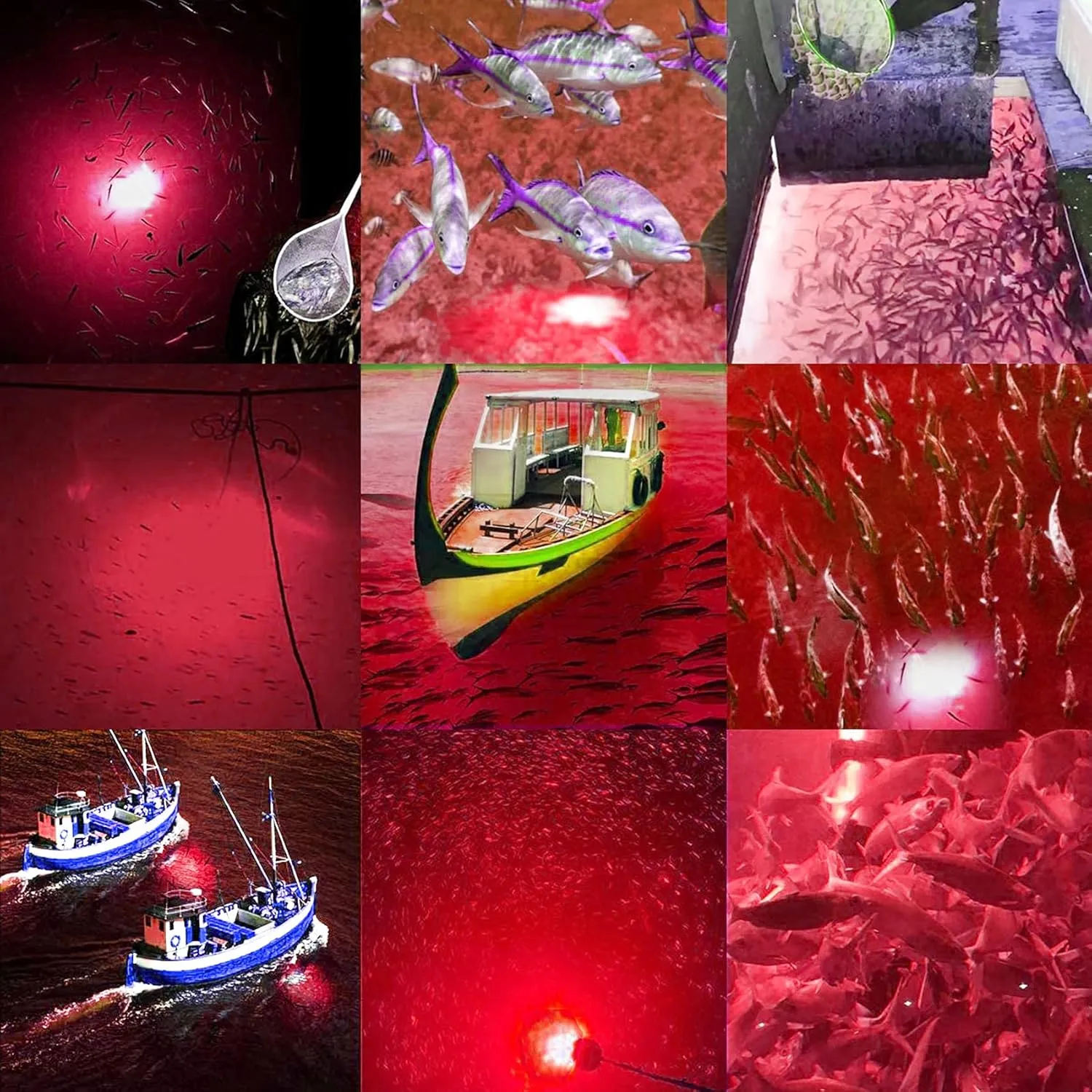 SAMDO IP68 12V LED Underwater Fishing Light 1080 Lumens Fish Attracting Light, Night Fishing Light 10.8W