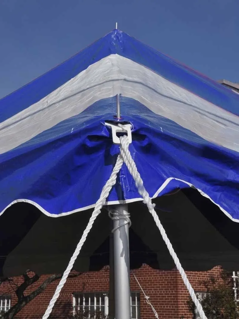 TentandTable 20' x 20' Premium Canopy Tent, Blue/White, Outdoor Pole Tent, 40-80 Person Capacity for Parties, Weddings, Events, Commercial and Residential Use, Large Heavy Duty Vinyl Canopy Tents