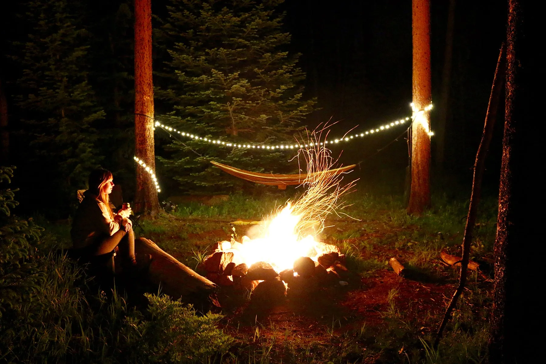 Trail Hound™ 30ft. 100 LED Dimmable USB Camping Light