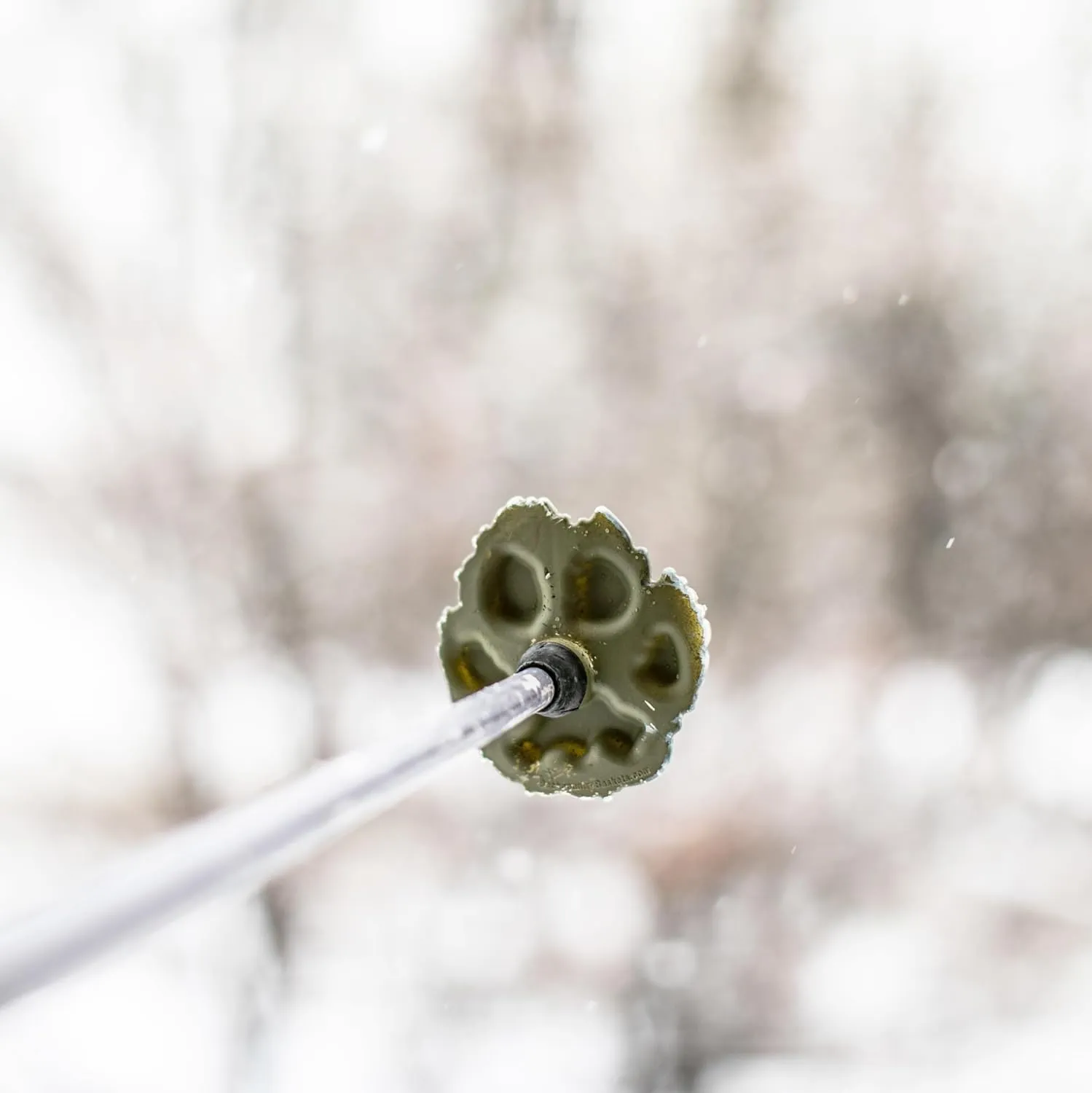 Wolf | Mountain Lion Ski Pole Baskets