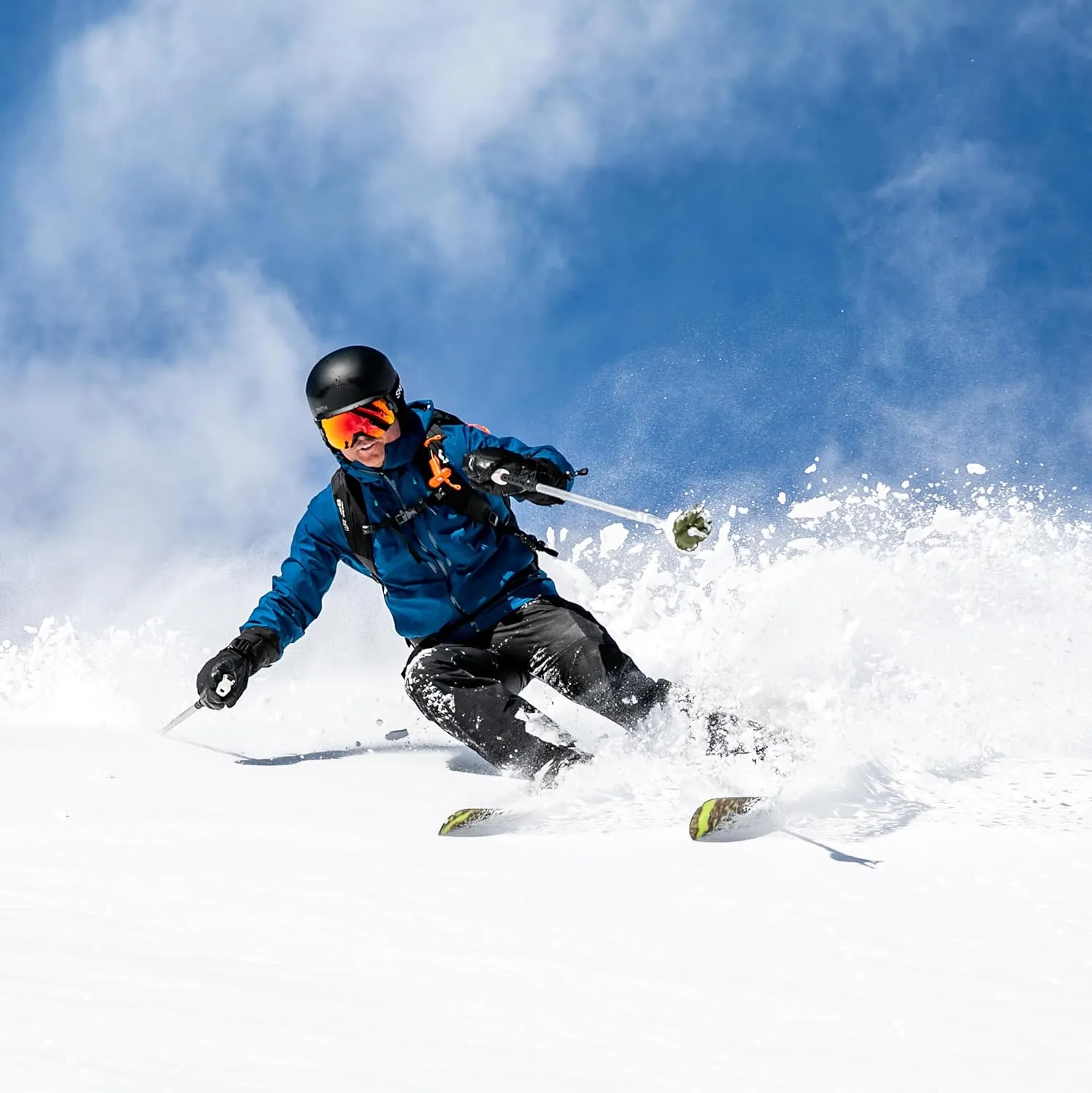 Wolf | Mountain Lion Ski Pole Baskets